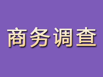 牡丹江商务调查